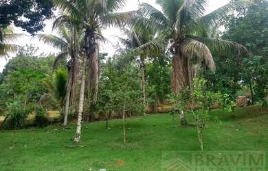 Imagem 7: Chácara para Venda em Serra, Chapada Grande, 6 dormitórios, 4 banheiros
