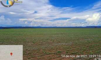 Imagem: Fazenda Garça Branca REGIÃO PETROVINA