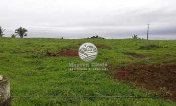 Imagem 4: Jaru - Sítio - 12 Alqueires