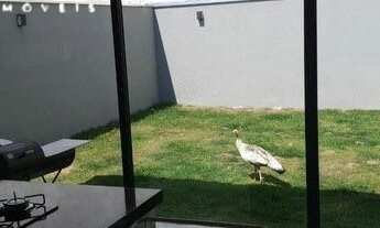 Imagem 7: CASA RESIDENCIAL em SOROCABA - SP, JARDIM DO PAÇO