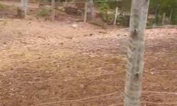 Imagem 7: Vende-se uma bela fazenda de 23 Alqueires