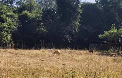 Imagem 7: Goiânia - Rural - <br> Sítios de Recreio dos Bandeirantes