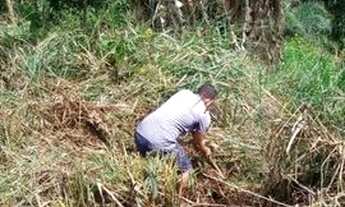 Imagem 2: Terreno Terreno / lote com venda por R$10.000