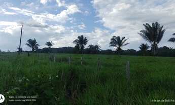 Imagem 5: 100 Hectares fazendinha pronta