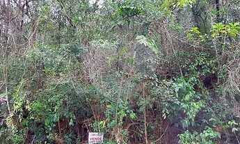 Imagem 4: Terreno à venda na Serra da Cantareira em Mairiporã/SP. Dois Terrenos unificados