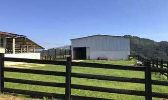 Imagem: Campo Largo, 52 alq, 125 ha, Haras, gado