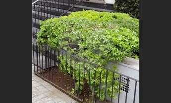 Imagem 4: Apartamento com 3 quartos à venda em Aclimação - SP