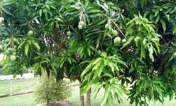 Imagem 6: Casa com 2 dormitórios à venda, 120 m² por R$ 450.000,00 - Condomínio Ninho Verde II - Par