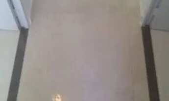 Imagem 5: VENDO LINDO APARTAMENTO TODO REFORMADO!!!