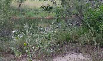 Imagem 4: Vendo chácara lote terreno sítio