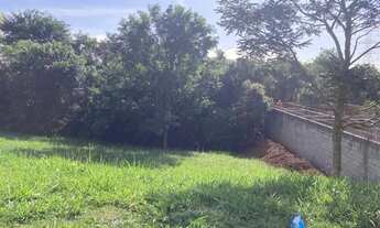 Imagem 3: Terreno à venda no bairro Vila Oliveira - Mogi das Cruzes/SP