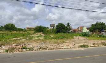 Imagem 2: Terreno no Rosa Elze 21028