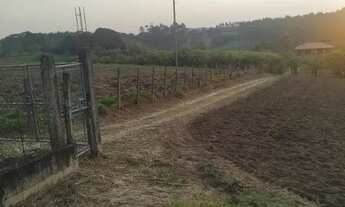 Imagem 3: C- Terrenos para chácaras