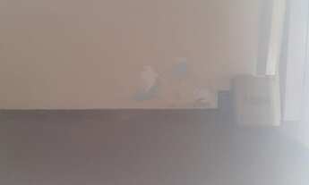 Imagem 6: Casa para aluguel com 50 metros quadrados com 1 quarto em Vila Antonieta a São Paulo - São