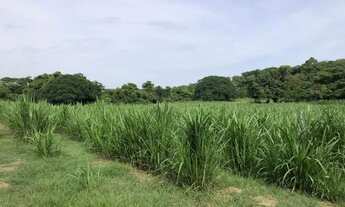 Imagem 6: Petrolina de Goiás - Casa Padrão - <br> Setor Central