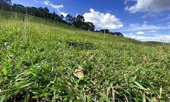 Imagem 2: TB - Vendo terreno para chácara