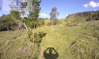 Imagem 6: Sítio em Bairro Rosa Mendes - Pinhalzinho