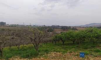 Imagem 3: Sítio com 4 dormitórios à venda, 411400 m² por R$ 8.600.000 - Curralinho - Pouso Alegre/MG