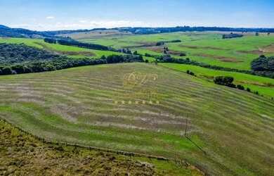 Imagem 3: Palmeira, 99 alqueires, 239 hectares - Dupla Aptidão