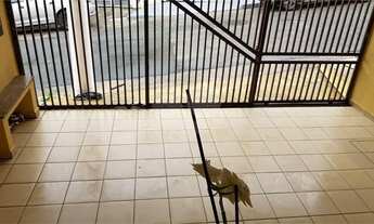 Imagem 3: Sobrado 3 dormitórios e 1 suíte no São Lucas 02 vagas