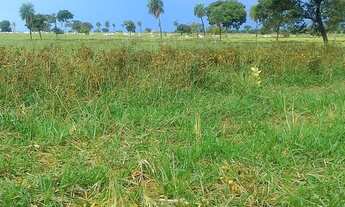 Imagem 5: Fazenda 264 há , 35 km de Cuiabá - mt