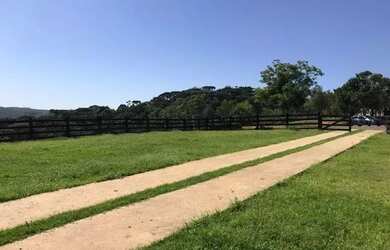 Imagem 5: Campo Largo, 52 alq, 125 ha, Haras, gado ou reflorestamento