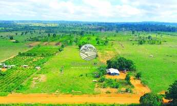 Imagem 2: Venda - Chácara - Vale do Anari - 4 Alqueires top Machadinho