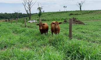Imagem 4: Fazenda próximo a dois irmãos
