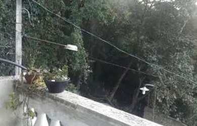 Imagem 3: Ótima casa, no meio da natureza, ha 15 minutos do largo do japonês da cachoeirinha