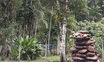 Imagem 5: Praia em Ubatuba sem trânsito e baixo investimento