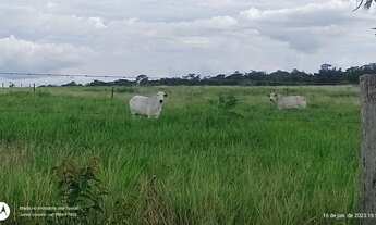 Imagem: 100 Hectares fazendinha pronta