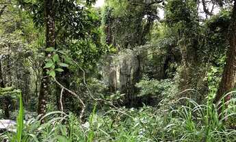 Imagem 4: Lindo terreno na Serra da Cantareira