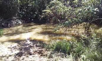 Imagem 2: Vende-se chácara formada com casa