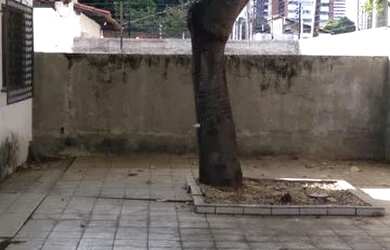 Imagem 6: Casa para aluguel, 3 quartos, 1 suíte, 2 vagas, Jóquei - Teresina/PI