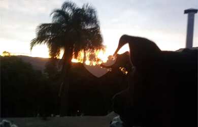 Imagem 7: Casa 3 dormitórios para venda na Serra da Cantareira , lazer completo