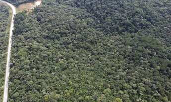 Imagem 4: Vendo terreno Industrial BR280 Industrial Sudoeste - São Bento do Sul