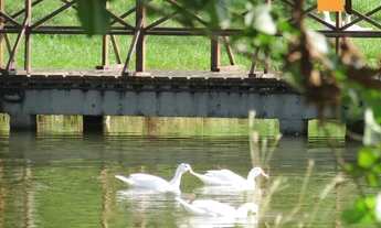 Imagem 4: Casa com 3 dormitórios, 430 m² - Paragem dos Verdes Campos - Gravataí/RS