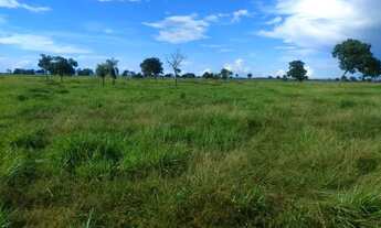 Imagem 3: Fazenda 264 há , 35 km de Cuiabá - mt