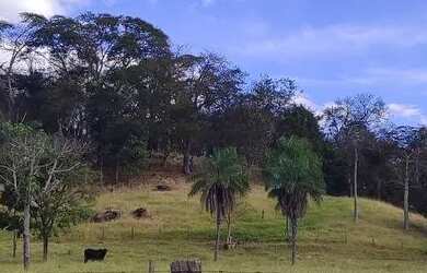 Imagem 4: Chácara em Avelinópolis