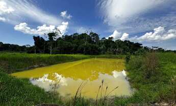 Imagem 2: Sítio com piscicultura Rod. Manoel Urbano, KM 53 AM070