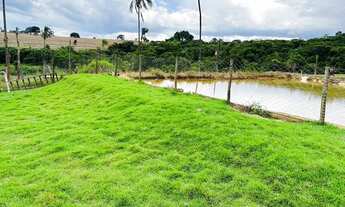 Imagem 6: 3,5 alqueires Chácara com venda por R$2.000.000