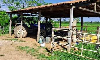 Imagem 7: Oportunidade! Vende-se uma excelente fazenda de 68.8 hectares