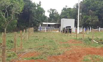 Imagem 3: Vendo terreno no distrito de Joanápolis/capelinha