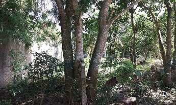 Imagem 7: Terreno à venda, 1000 m² por R$ 450.000,00 - Granja Viana - Cotia/SP