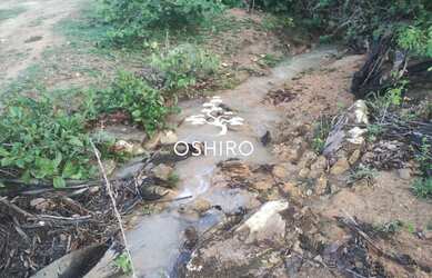 Imagem 3: FAZ. EM ARAGUAPAZ - GO - PROP.M.A. CÓD 14004