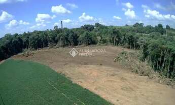 Imagem 7: TERRENO À VENDA NA LAGOA SUJA ARAUCÁRIA