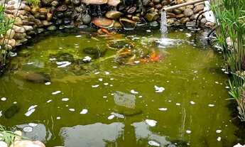 Imagem 12: Apartamento Padrão em São José do Rio Preto