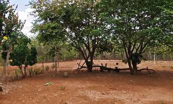 Imagem 7: Chácara 5.000M2 na Região de Glaucilândia