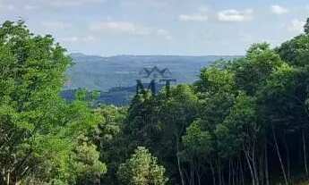 Imagem 5: Área de terra bairro Linha Imperial, Nova Petrópolis. RS Ref.:154