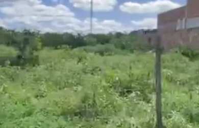 Imagem 3: VENDO TERRENO NO BAIRRO PAPAGAIO